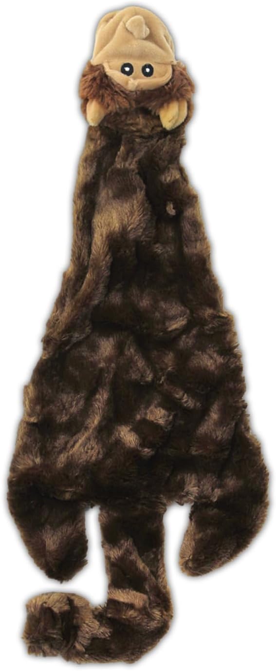 Squeaky Toys for Small, Medium and Large Dogs