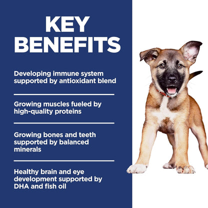 Hill's Science Diet Large Breed Puppy Food