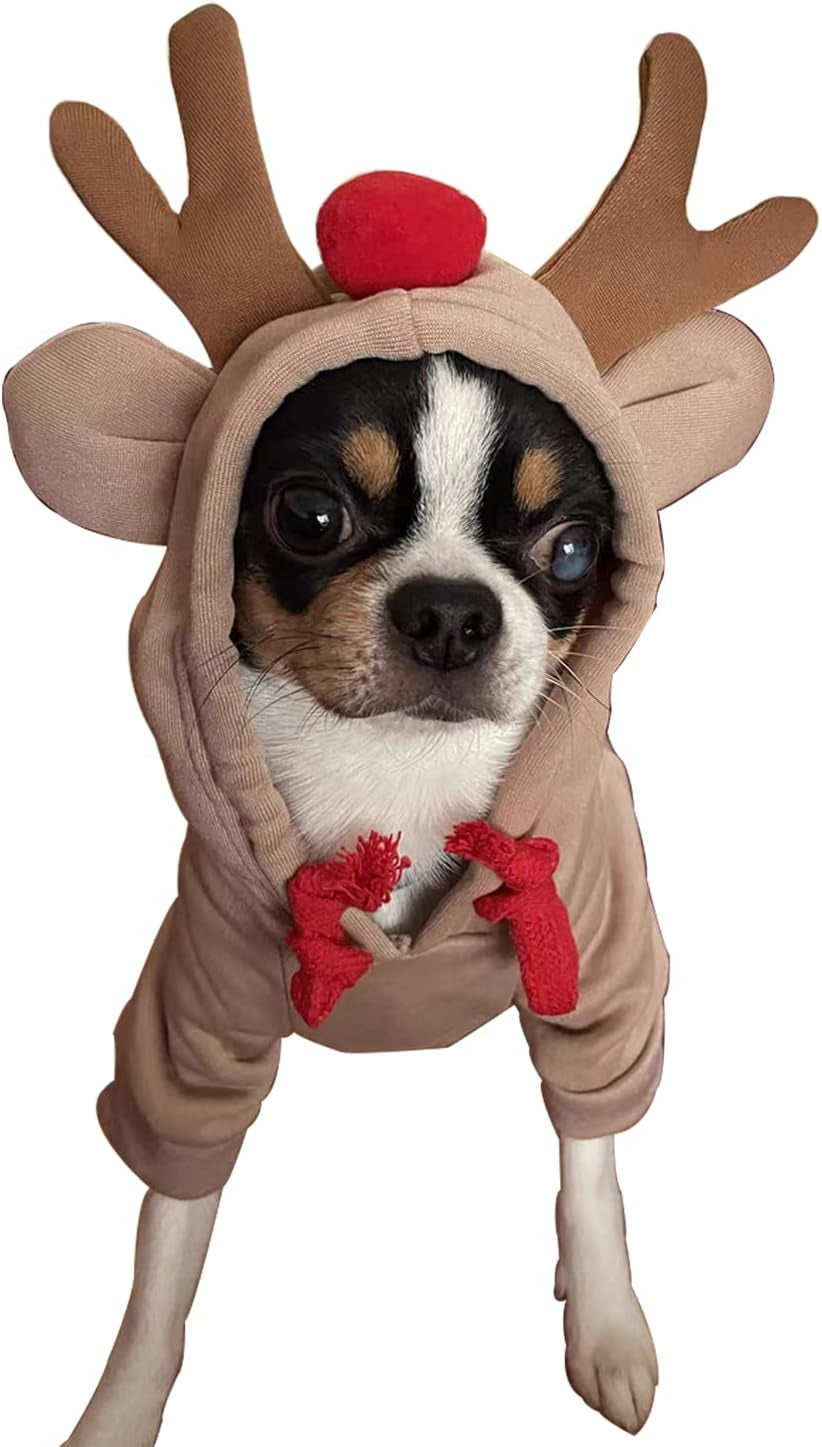Dog Hoodie - Elk and Frog