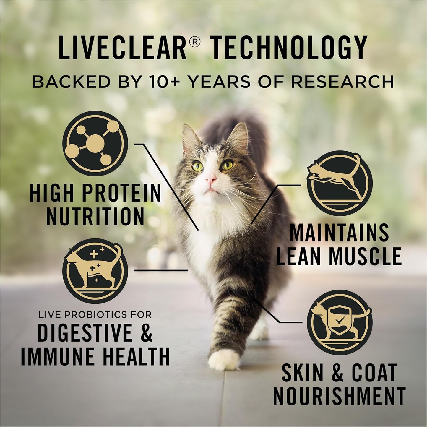 Purina Pro Plan Liveclear - Cat Allergen Reducing Dry Food