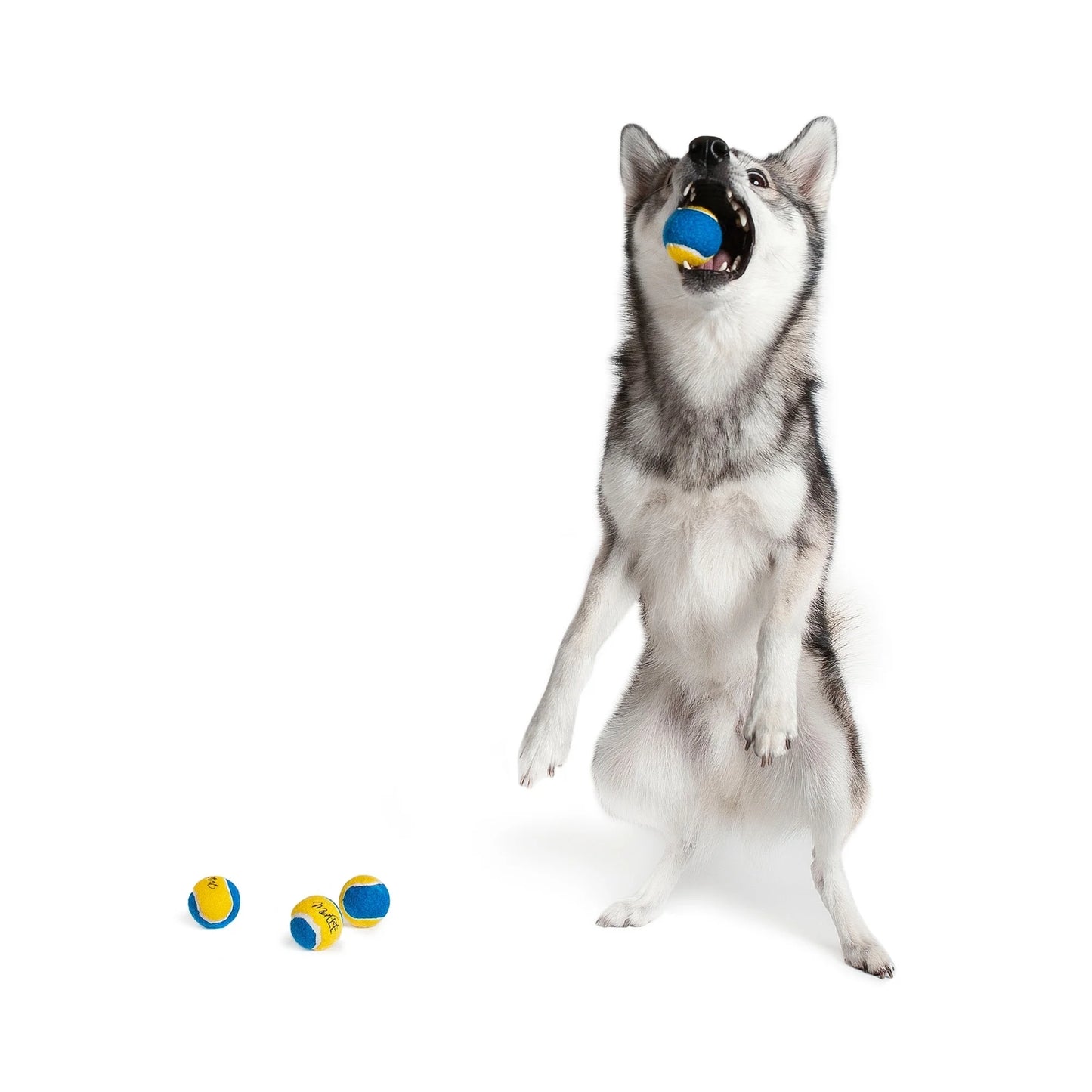 Mini Tennis Balls - 4pk