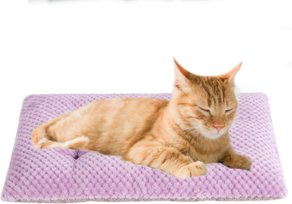 Fuzzy Deluxe Pet Bed