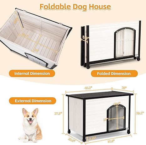 Indoor Dog House