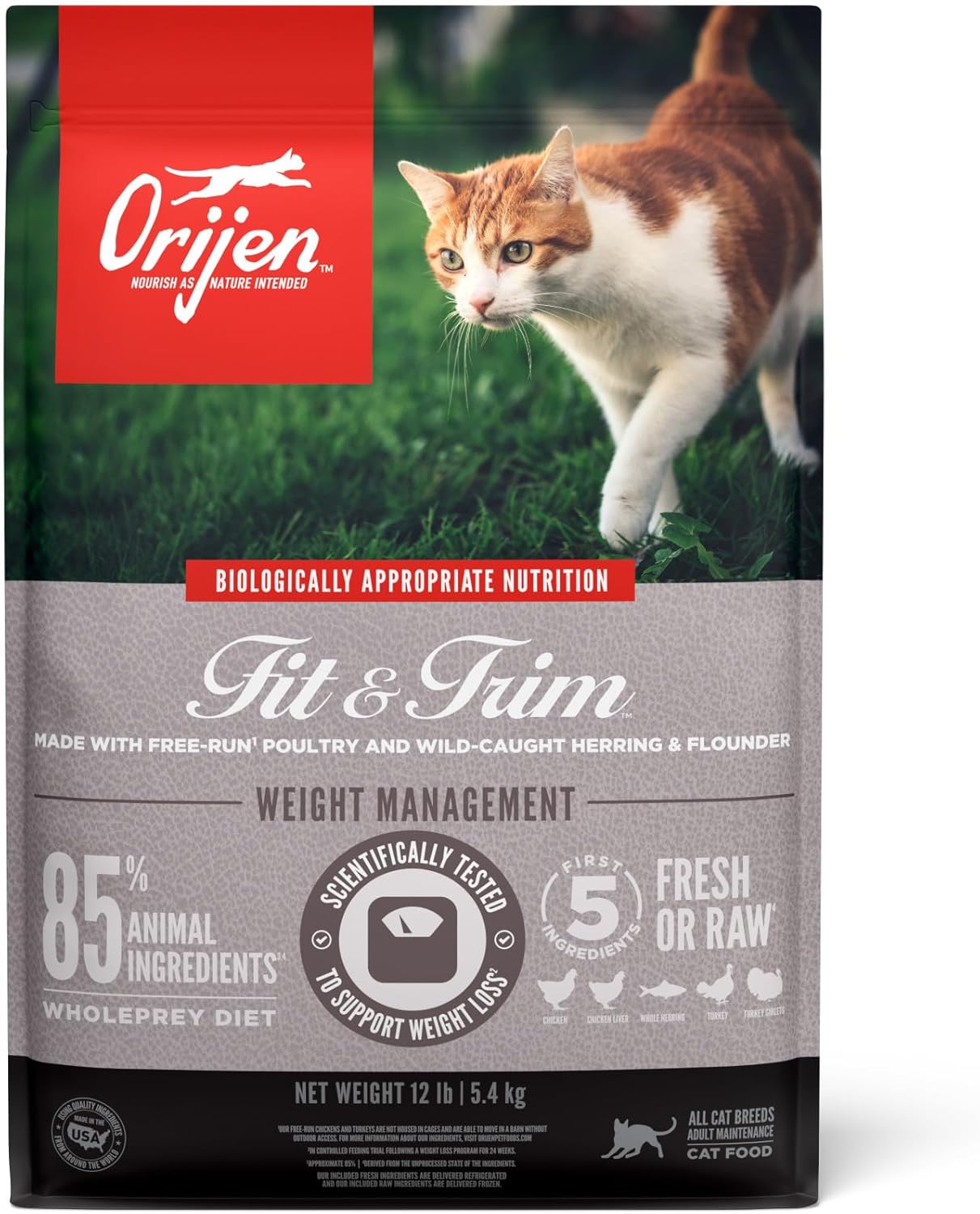 Orijen High Protein Premium Dry Cat Food