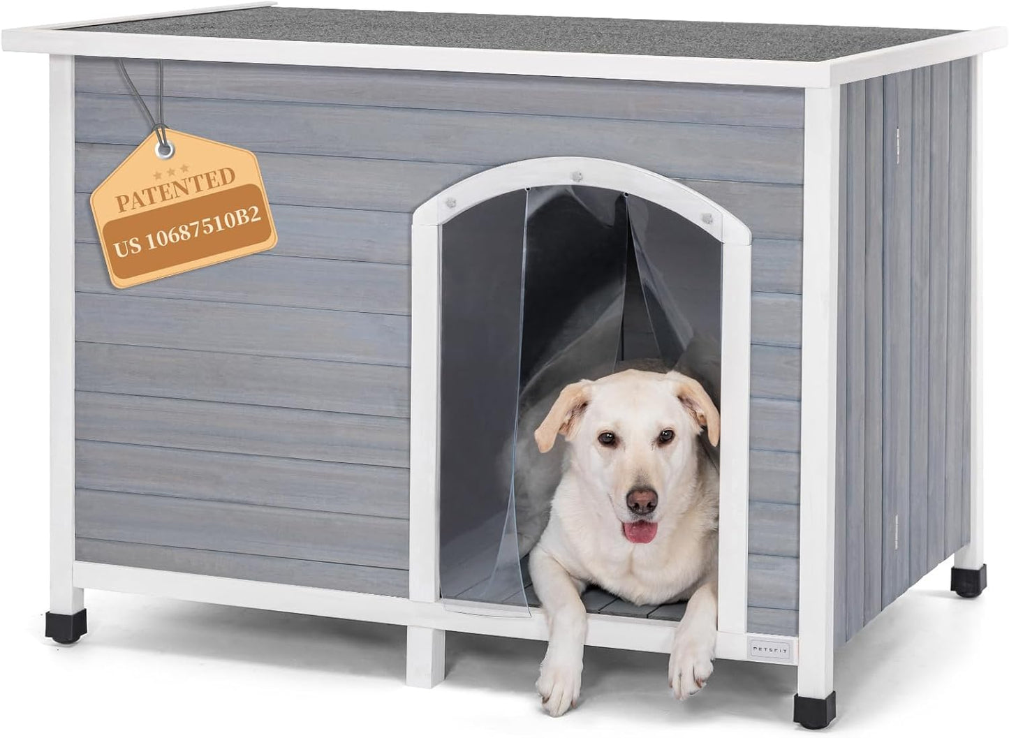 Indoor Dog House