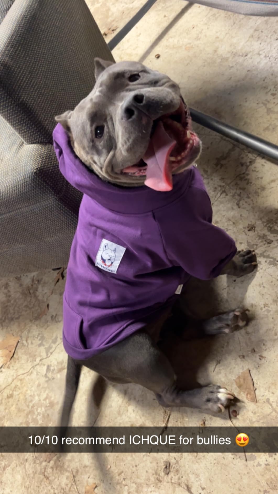 100% Cotton Dog Hoodies