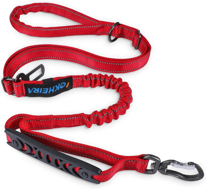 Multifunctional Bungee Leash | 4-6 FT