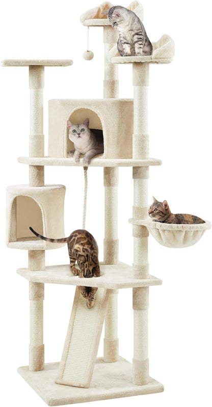 79 in Cat Tree Tower