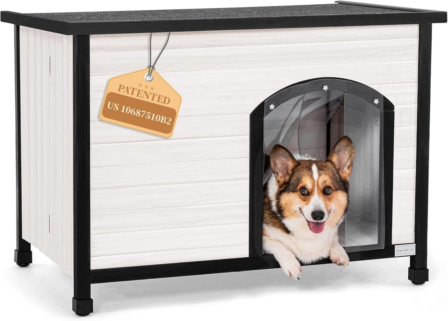 Indoor Dog House