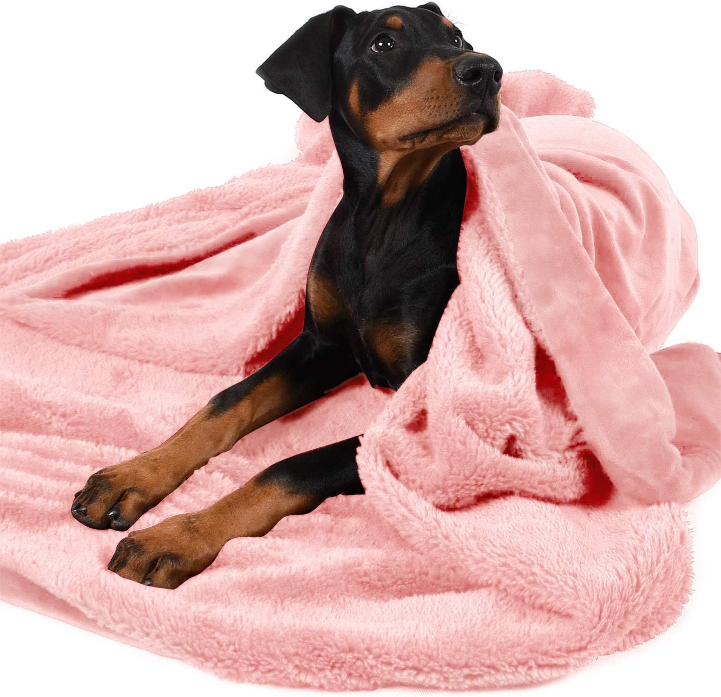 Dog Blankets for Large Dogs, Soft Fluffy Fleece Pet Blankets for Couch, Sofa, Dog Beds, Car Seats, Creat, Washable, 50X60 Inches, Black