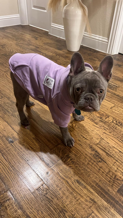 100% Cotton Dog Hoodies