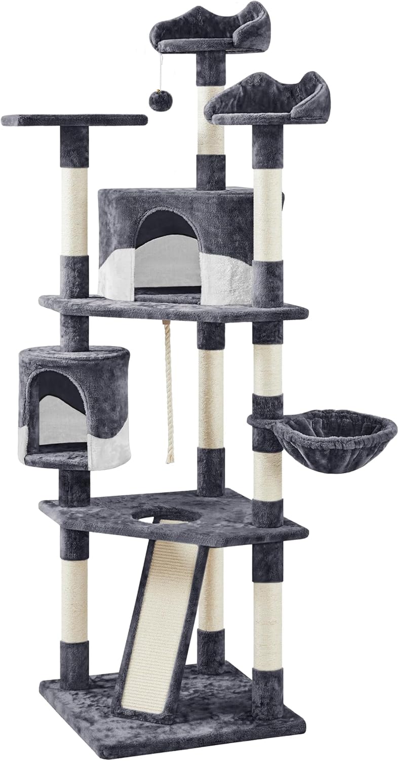 79 in Cat Tree Tower
