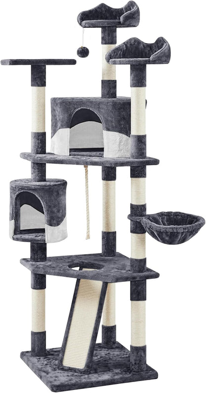 79 in Cat Tree Tower