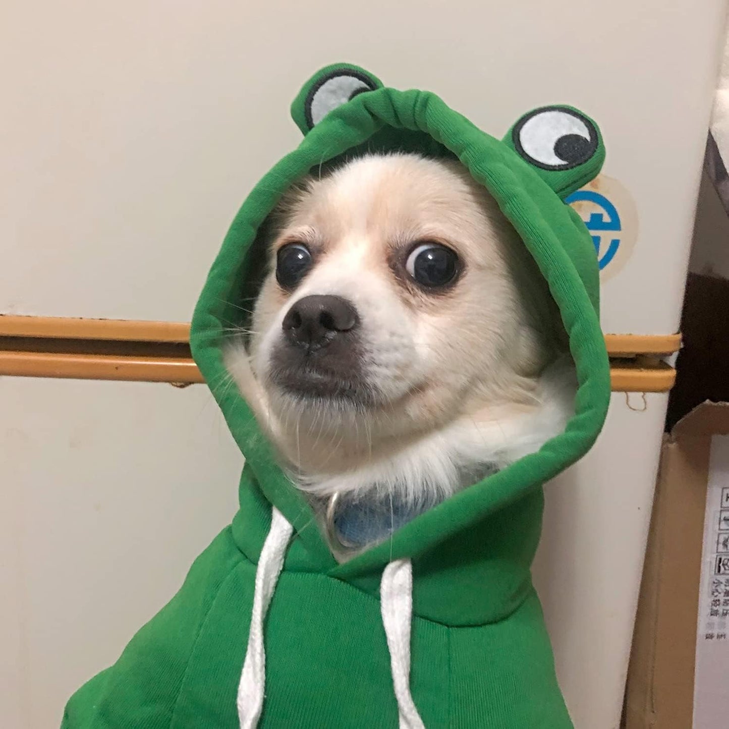 Dog Hoodie - Elk and Frog