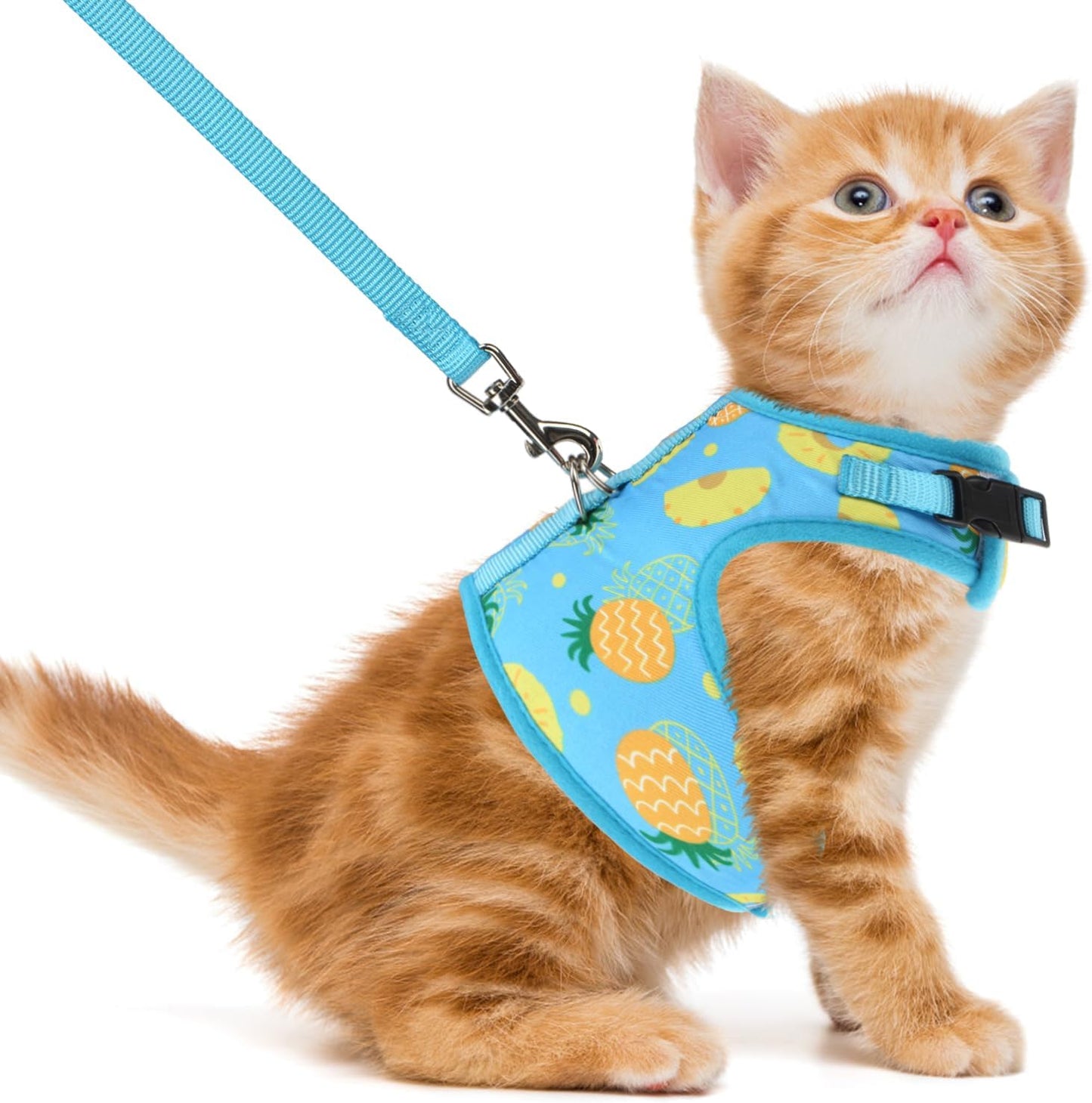 Soft Mesh Vest Harness and Leash Set