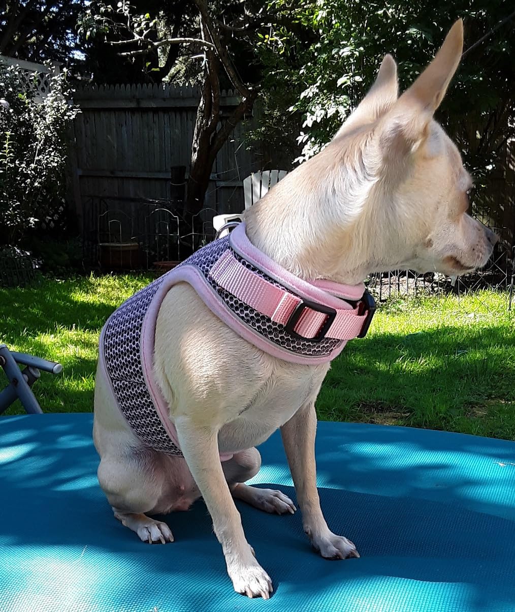 Soft Mesh Vest Harness and Leash Set