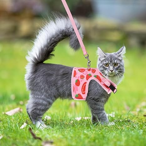 Soft Mesh Vest Harness and Leash Set