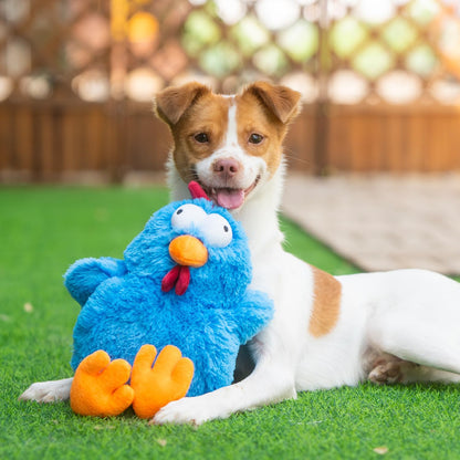 Squeaky Toys for Small, Medium and Large Dogs