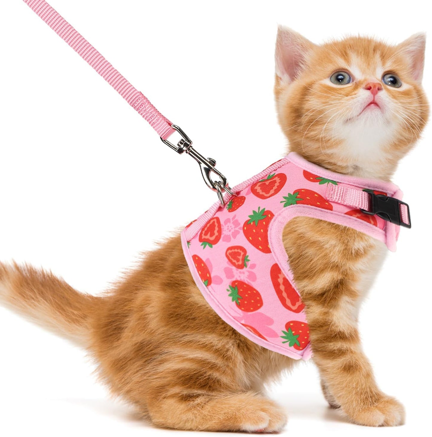 Soft Mesh Vest Harness and Leash Set