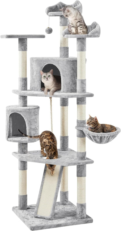 79 in Cat Tree Tower