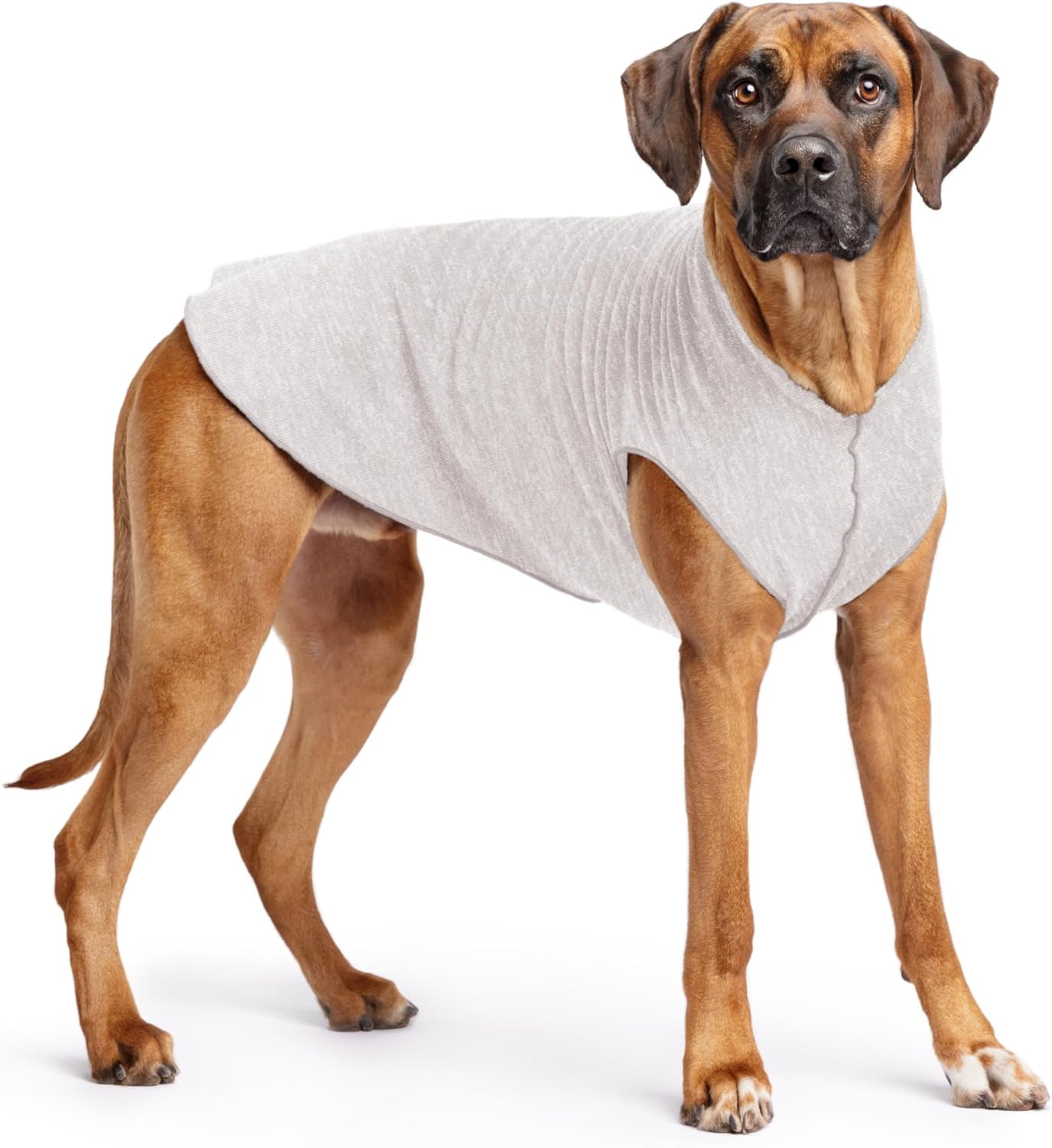 UV Protection & Cooling Shirt