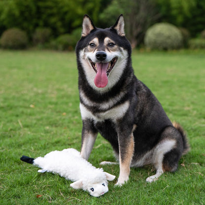 Squeaky Toys for Small, Medium and Large Dogs