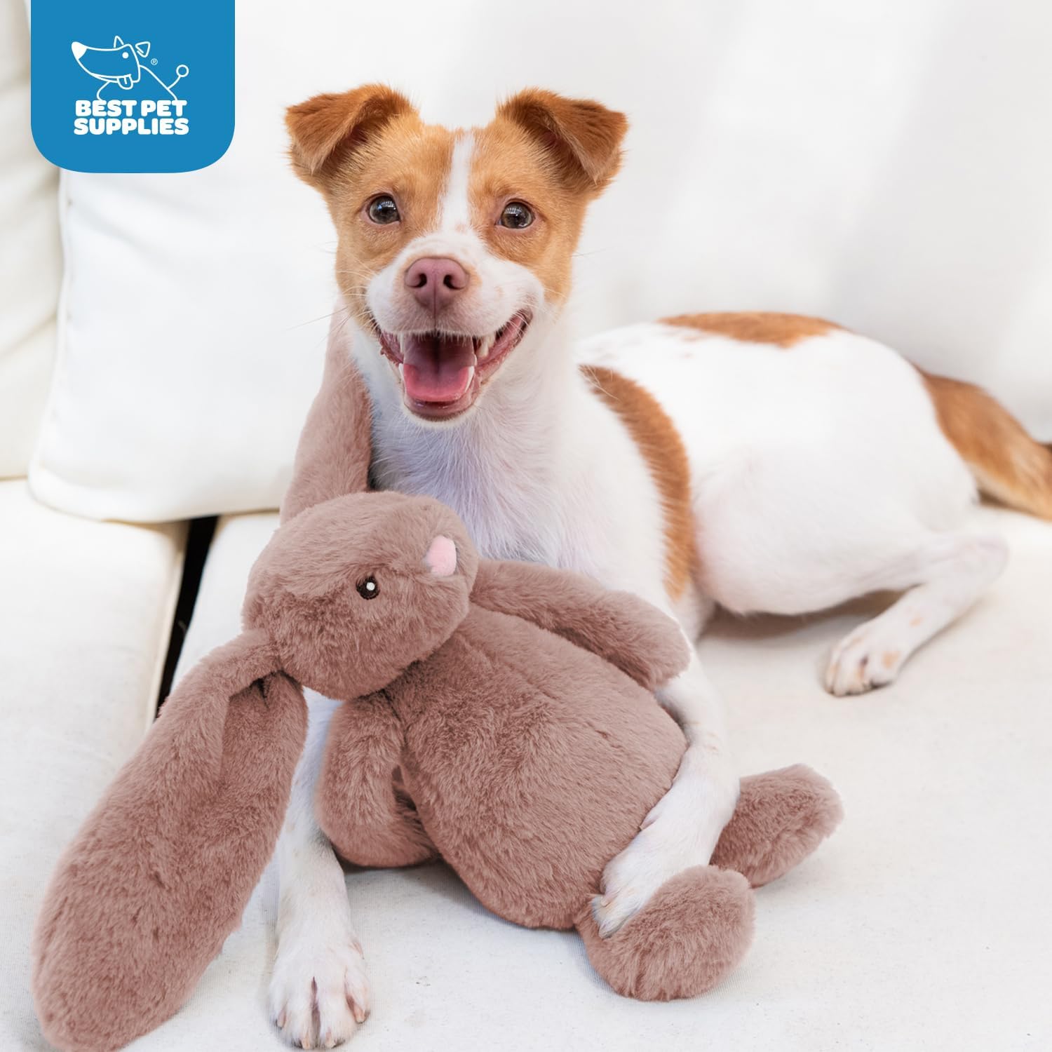 Squeaky Toys for Small, Medium and Large Dogs