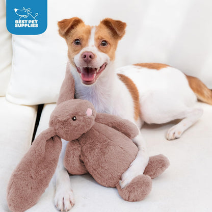 Squeaky Toys for Small, Medium and Large Dogs