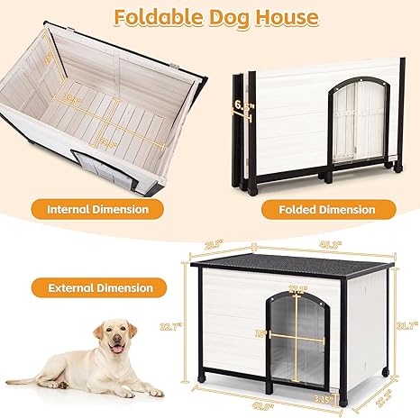 Indoor Dog House