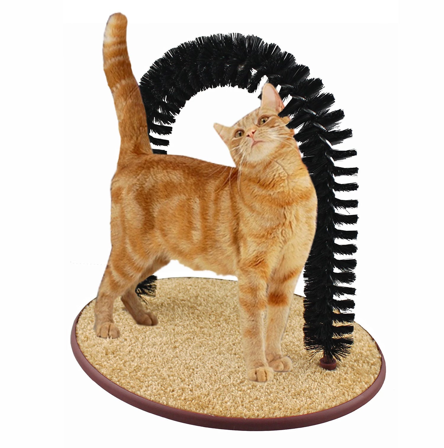 Grooming Arch with Catnip for Scratching