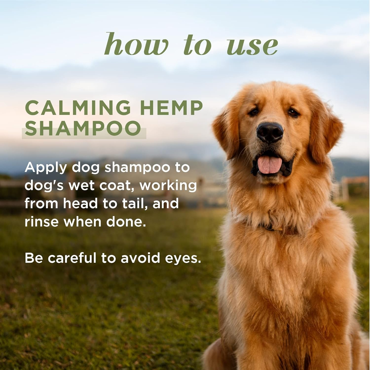 Calming Dog Shampoo with Hemp Seed Oil and Lavender