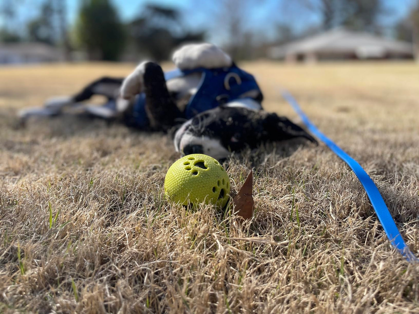 Waterproof Long Line