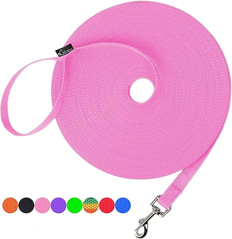 Dog/Puppy Obedience Recall Training Agility Lead - 15Ft 20Ft 30Ft 50Ft 100Ft Training Leash - Great for Training, Play, Camping, or Backyard Purple 100 Feet