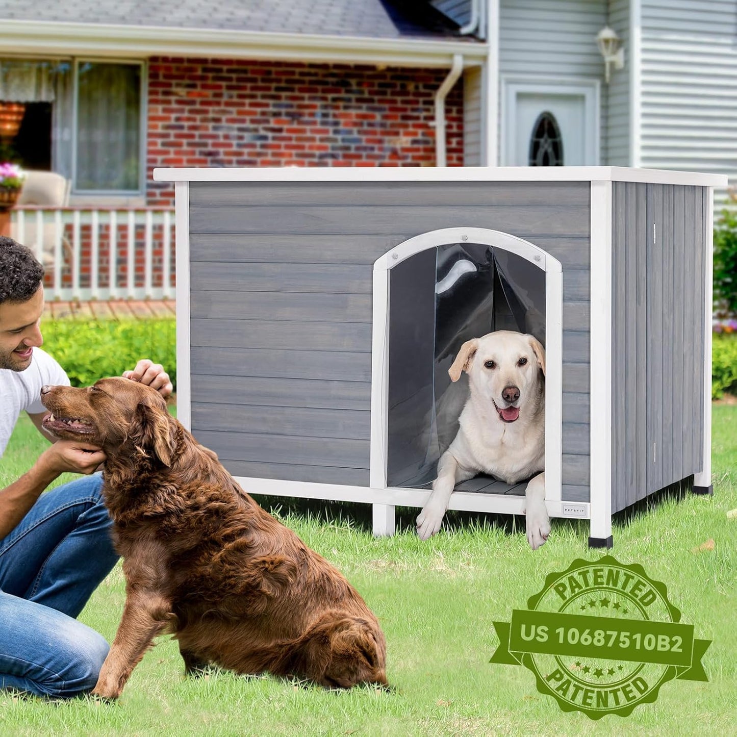 Indoor Dog House