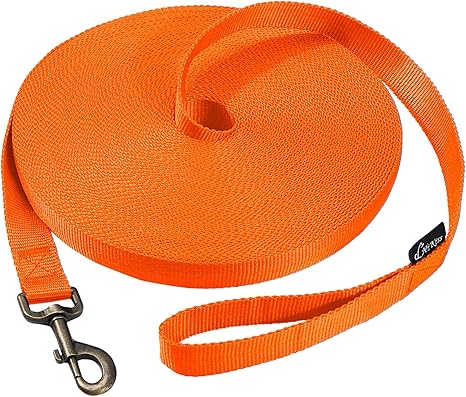 Dog/Puppy Obedience Recall Training Agility Lead - 15Ft 20Ft 30Ft 50Ft 100Ft Training Leash - Great for Training, Play, Camping, or Backyard Purple 100 Feet