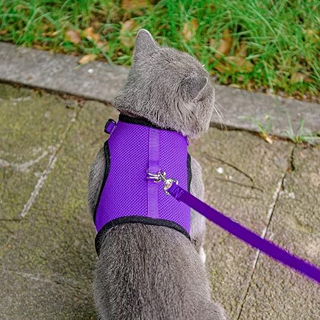 Soft Mesh Vest Harness and Leash Set