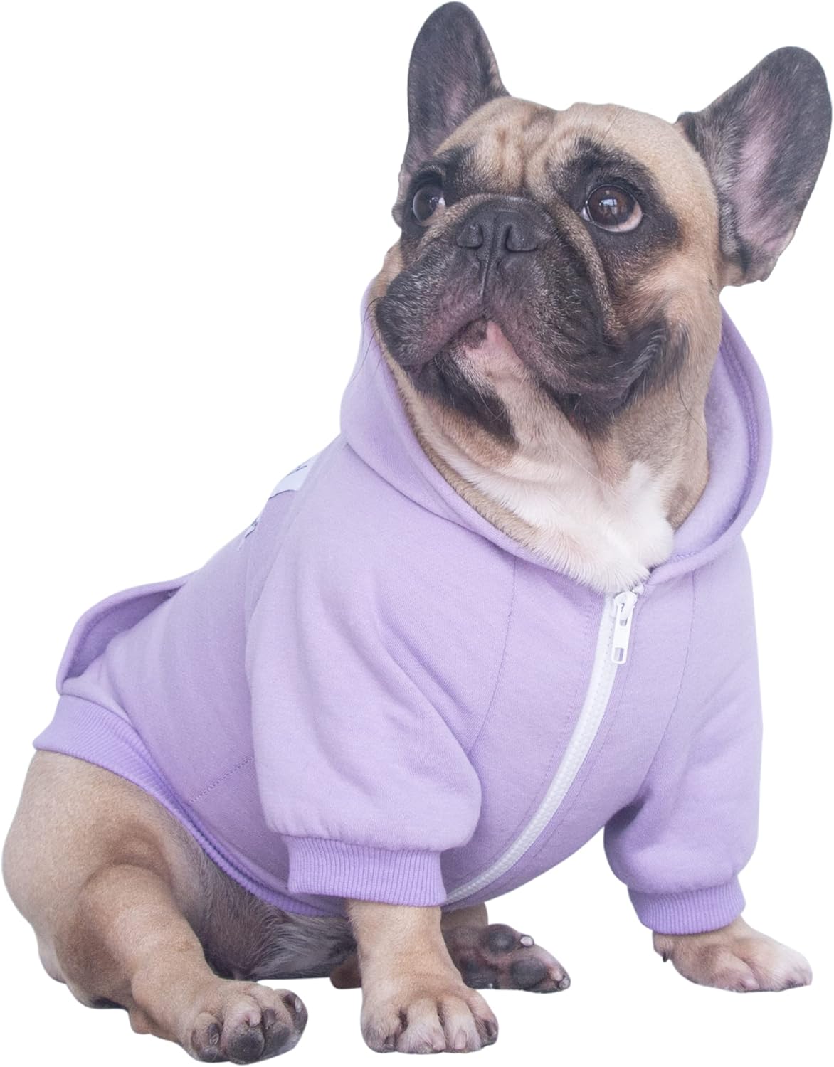 100% Cotton Dog Hoodies