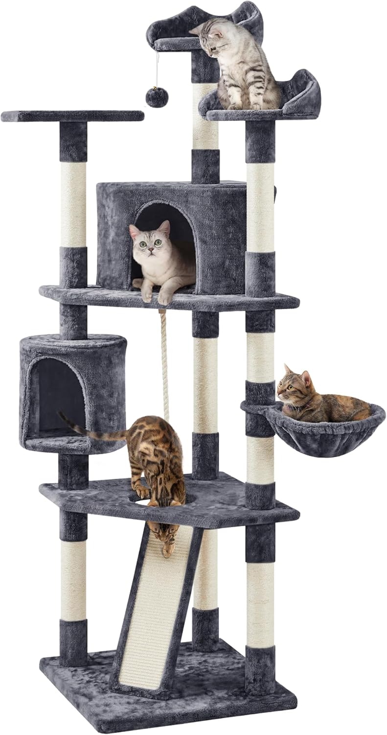 79 in Cat Tree Tower