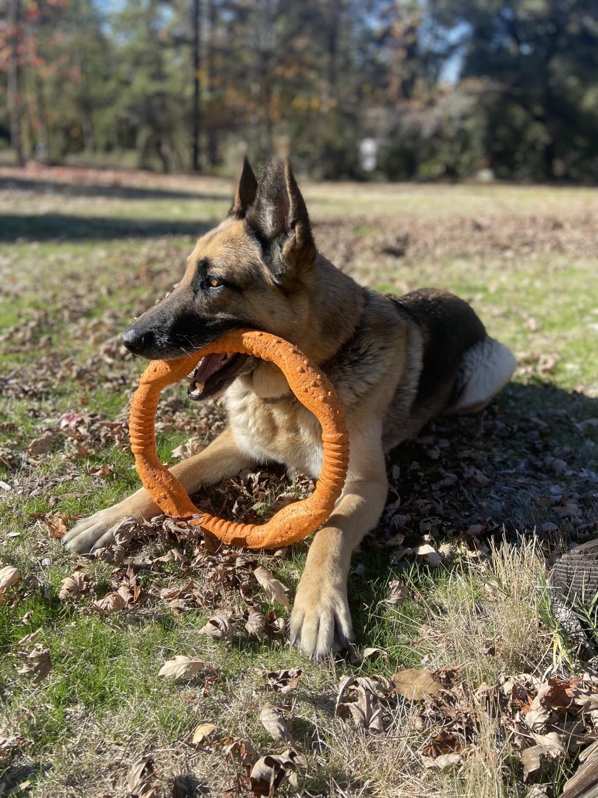  Durable Flying Ring
