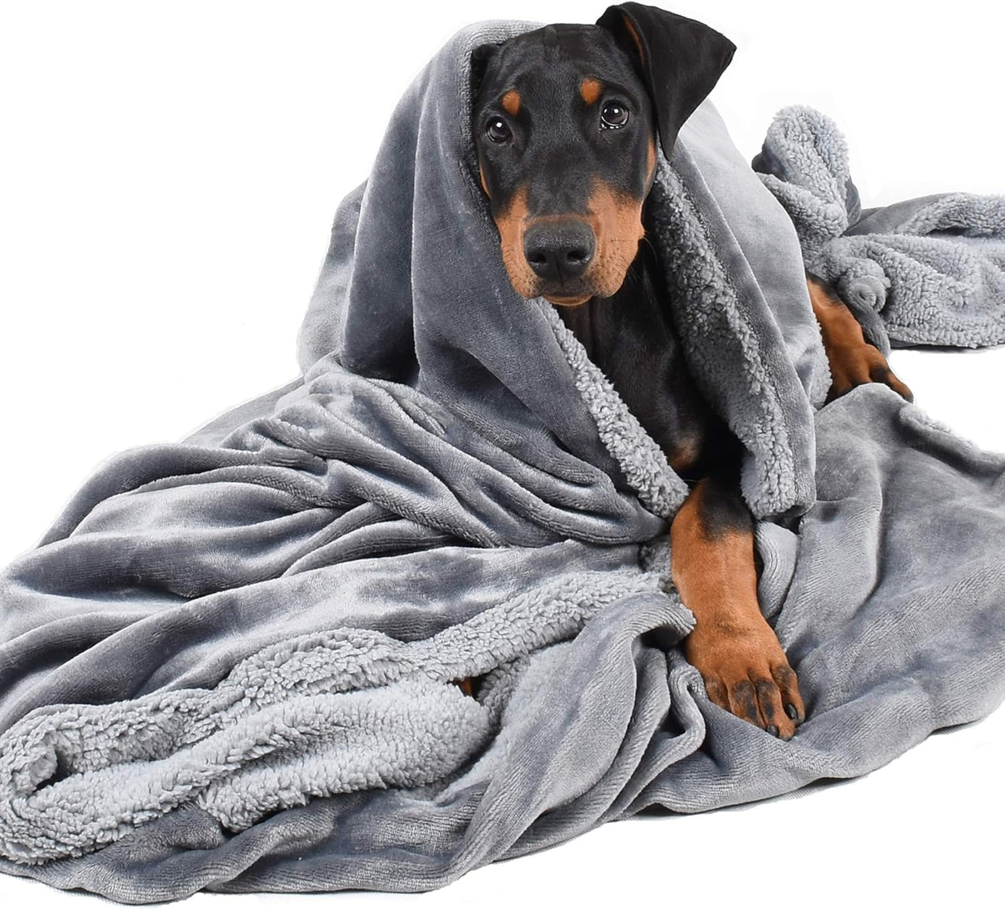 Dog Blankets for Large Dogs, Soft Fluffy Fleece Pet Blankets for Couch, Sofa, Dog Beds, Car Seats, Creat, Washable, 50X60 Inches, Black