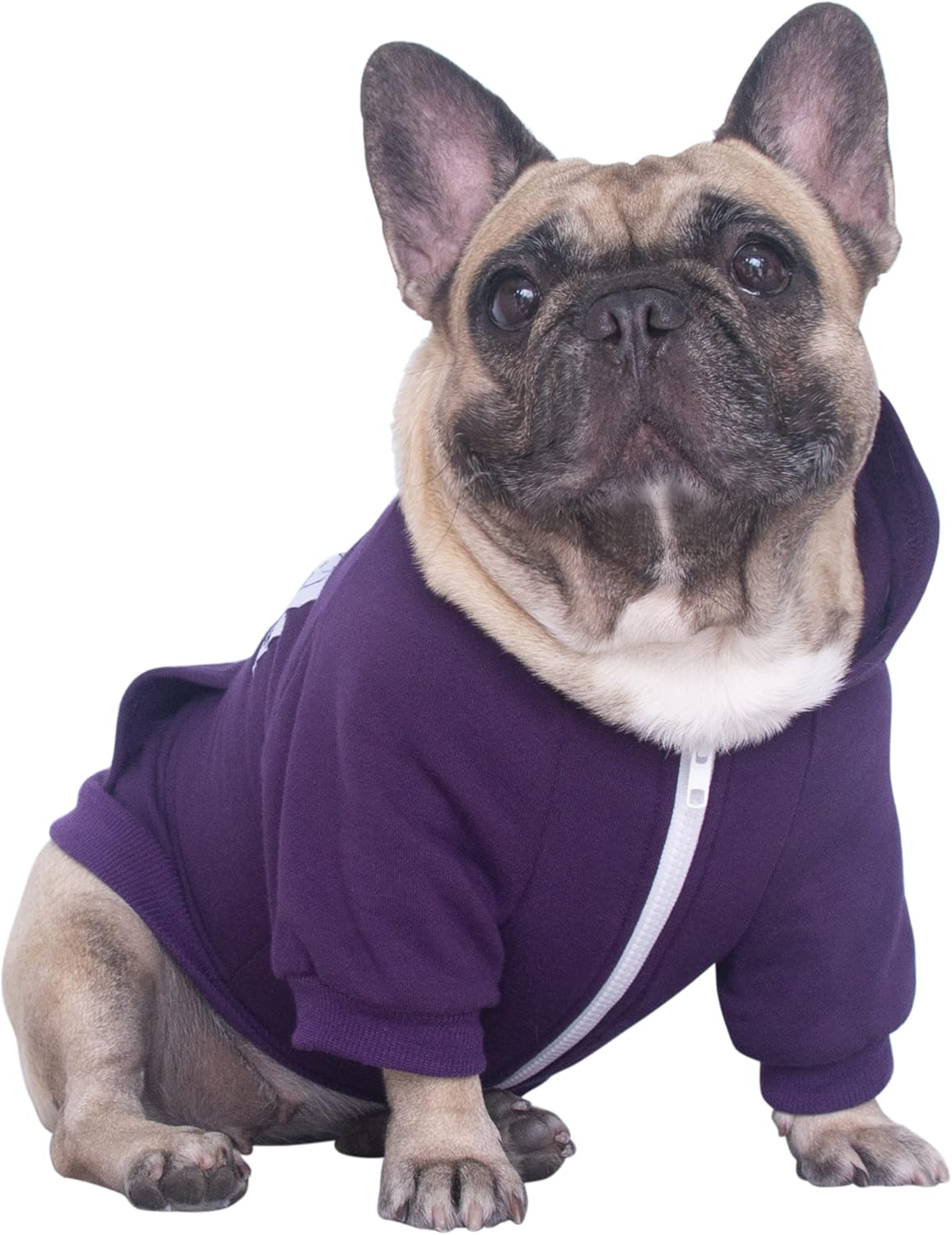 100% Cotton Dog Hoodies