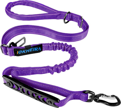 Multifunctional Bungee Leash | 4-6 FT