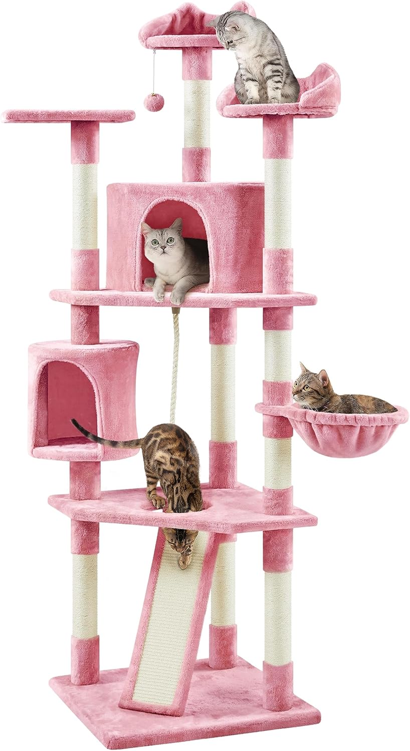 79 in Cat Tree Tower