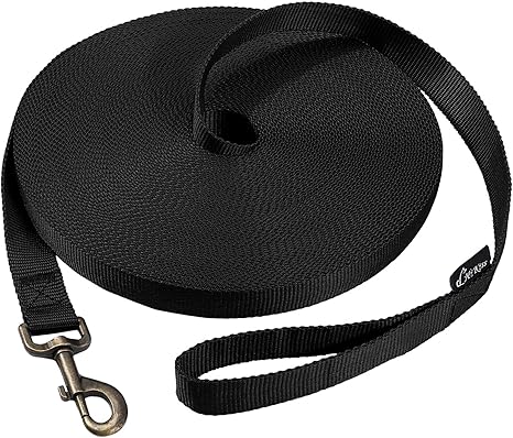 Dog/Puppy Obedience Recall Training Agility Lead - 15Ft 20Ft 30Ft 50Ft 100Ft Training Leash - Great for Training, Play, Camping, or Backyard Purple 100 Feet