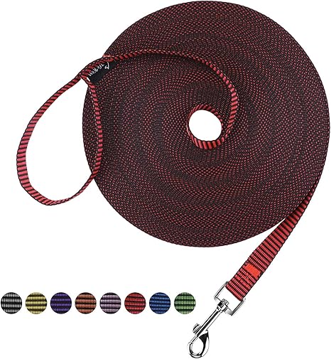 Dog/Puppy Obedience Recall Training Agility Lead - 15Ft 20Ft 30Ft 50Ft 100Ft Training Leash - Great for Training, Play, Camping, or Backyard Purple 100 Feet