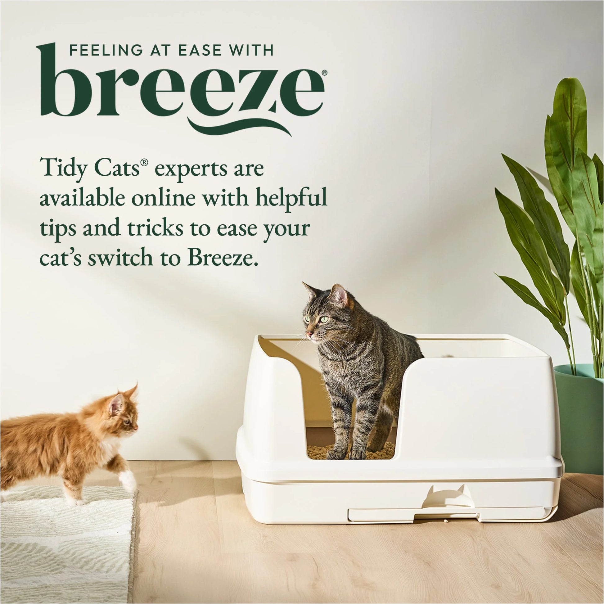 Purina Breeze Bigger Cat Litter Box System Kit with Pellet Cat Litter, XL Litter Box and Litter Box Pads