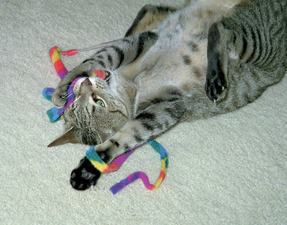 Cat Charmer Rainbow Wand