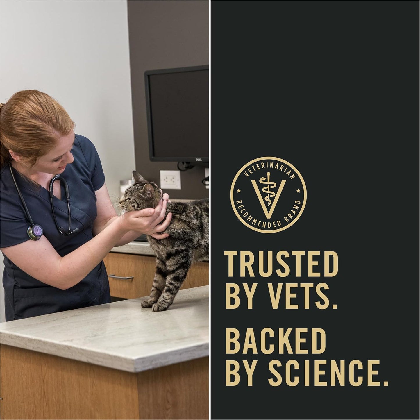 Purina Pro Plan Liveclear - Cat Allergen Reducing Dry Food