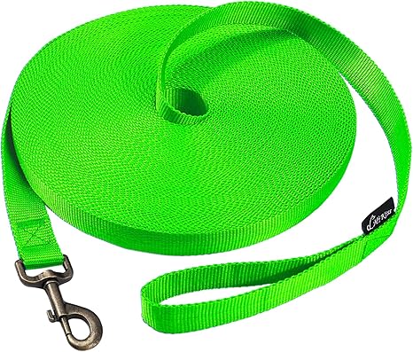 Dog/Puppy Obedience Recall Training Agility Lead - 15Ft 20Ft 30Ft 50Ft 100Ft Training Leash - Great for Training, Play, Camping, or Backyard Purple 100 Feet