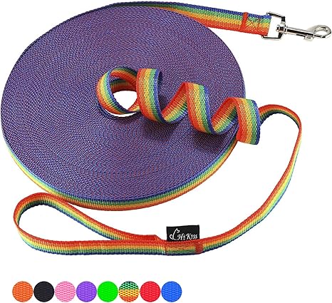 Dog/Puppy Obedience Recall Training Agility Lead - 15Ft 20Ft 30Ft 50Ft 100Ft Training Leash - Great for Training, Play, Camping, or Backyard Purple 100 Feet